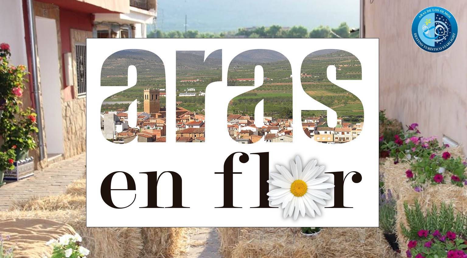 Pack Aras en Flor 2026